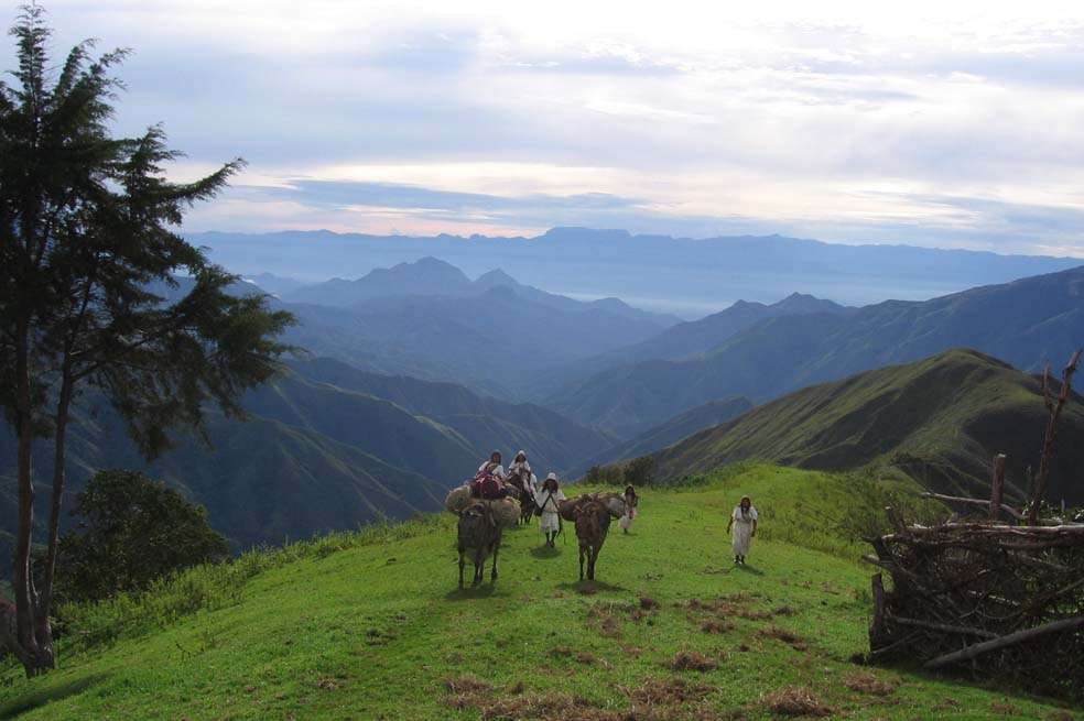 El Parque Nacional Sierra Nevada de Santa Marta será el primero en implementar el proyecto Bio Guarda. /Ángela Gómez