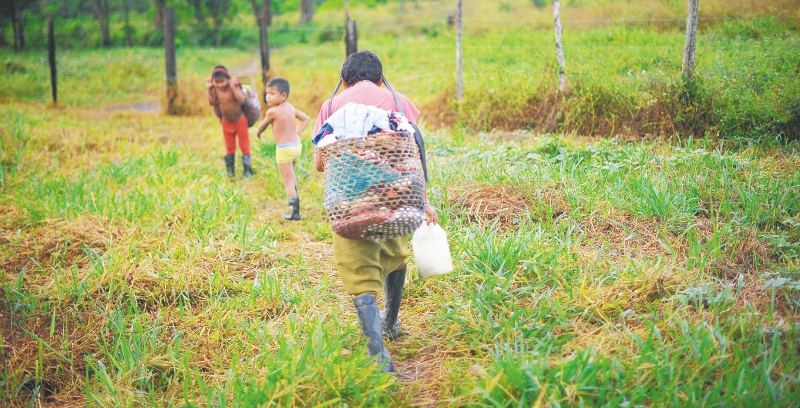 Los emberas chamí habitan en resguardos de Antioquia, Caldas, Risaralda, Quindío y Valle. / Cristian Garavito