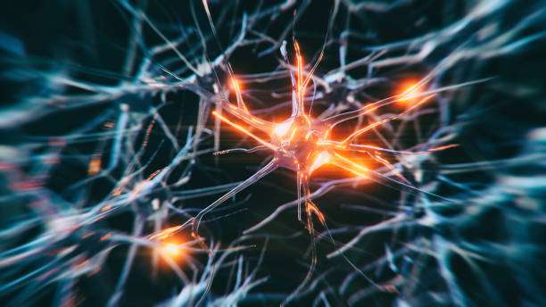 El trabajo fue el resultado de una gran colaboración internacional de más de 70 instituciones de todo el mundo. /Getty