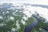 El Amazonas reduce a la mitad su capacidad para absorber dióxido de carbono