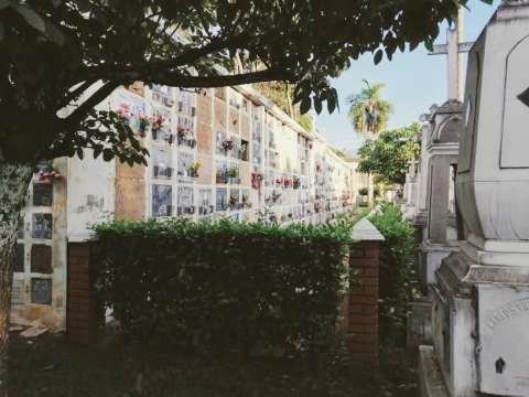 Denuncian la desaparición de mil cuerpos del Cementerio Central de Bucaramanga