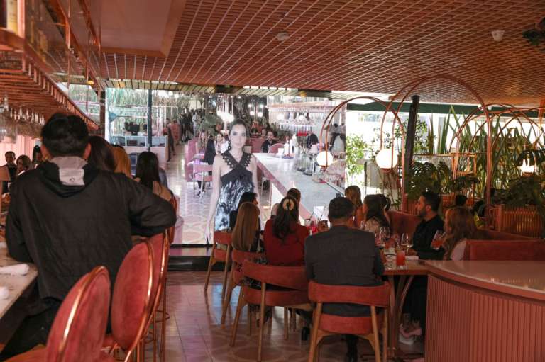 Lanzamiento cromos web