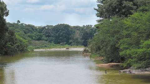Los investigadores que devolvieron el agua potable a Monterrey, Bolívar