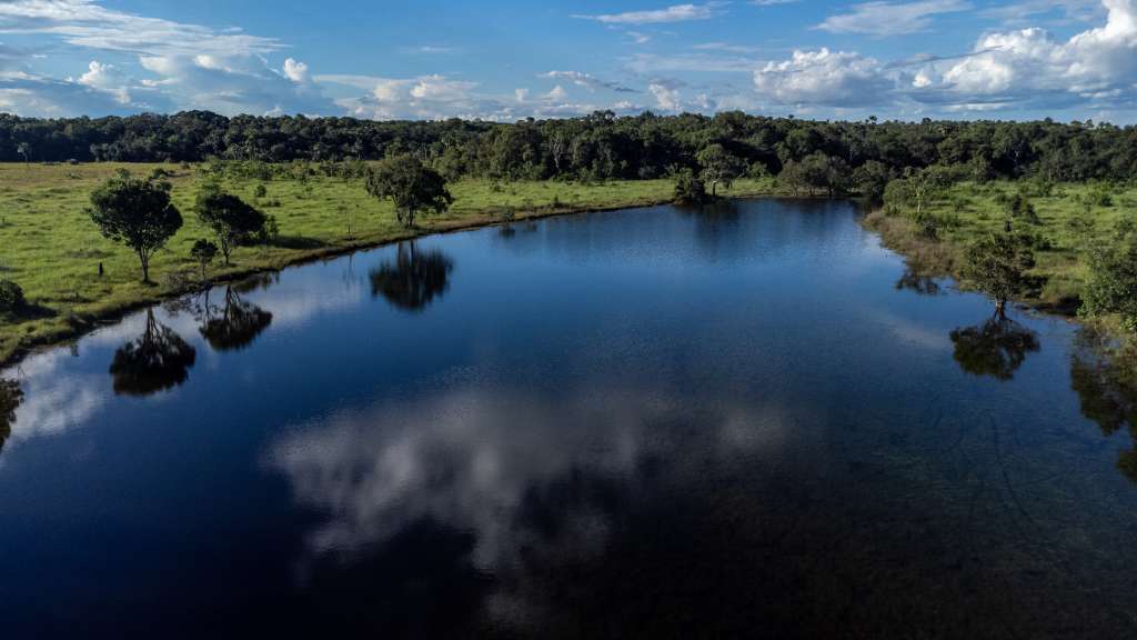 Imagen de las Sabanas del Manacacías.