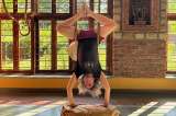 El Yogui caminante y sesentón comienza a trepar el árbol del yoga