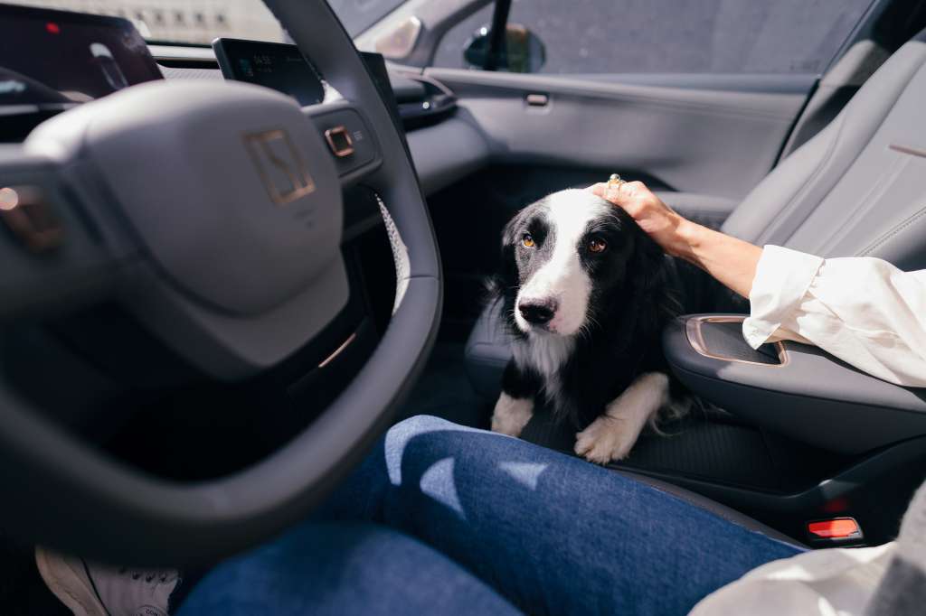 El nuevo Modo Mascota de los carros eléctricos de Zeerk que protege a los animales