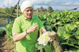 Floricultura en el oriente antioqueño: hacer empresa un pétalo a la vez