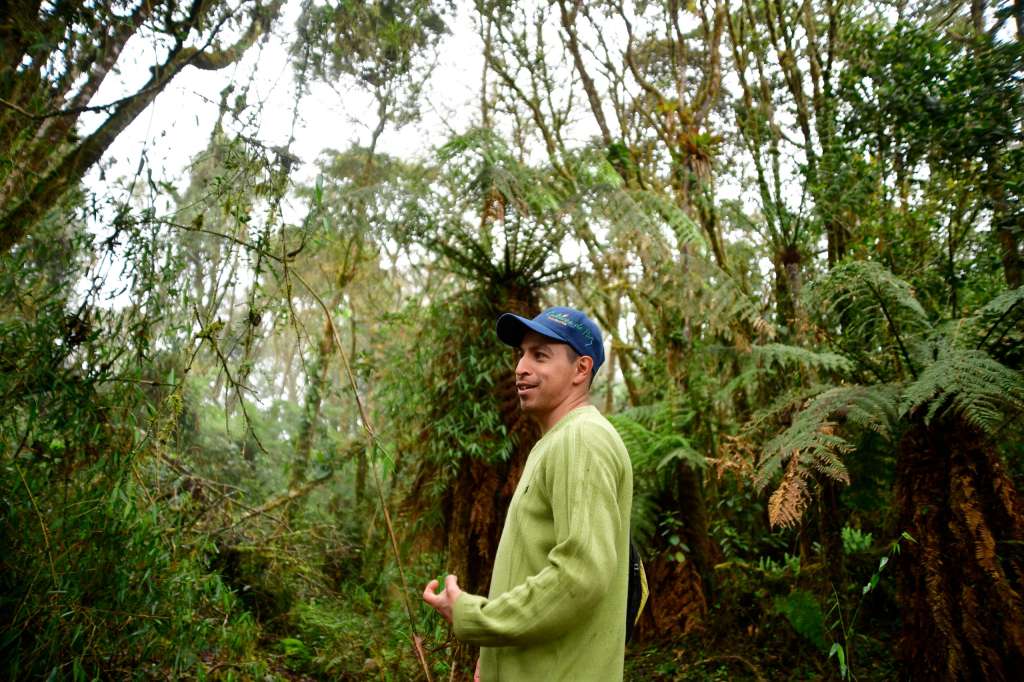 Jaime Avellanada en el bosque alto andino que protege junto a su mamá, en la finca El Palmar.