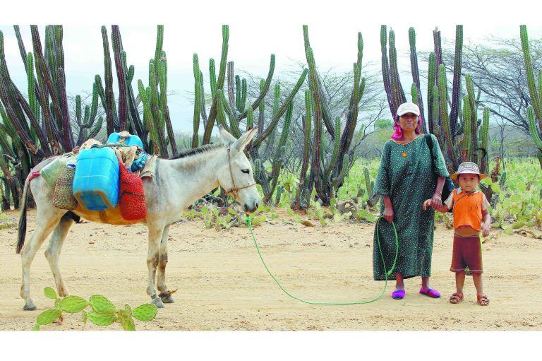 Una alternativa para no morir de sed en La Guajira