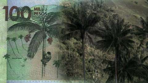 COP16: la biodiversidad que llevamos los colombianos en el bolsillo