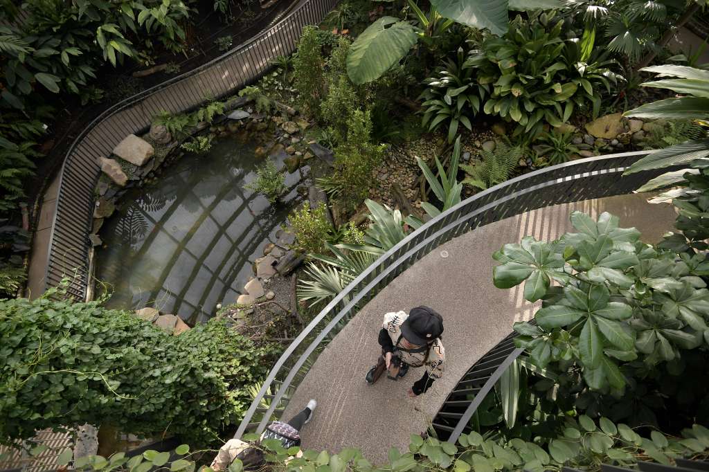 Recorrido por el Tropicario, atracción de este jardín ubicado en Bogotá.
