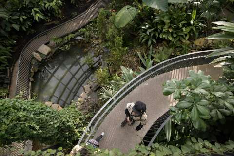 Cinco jardines botánicos imperdibles para visitar en Colombia