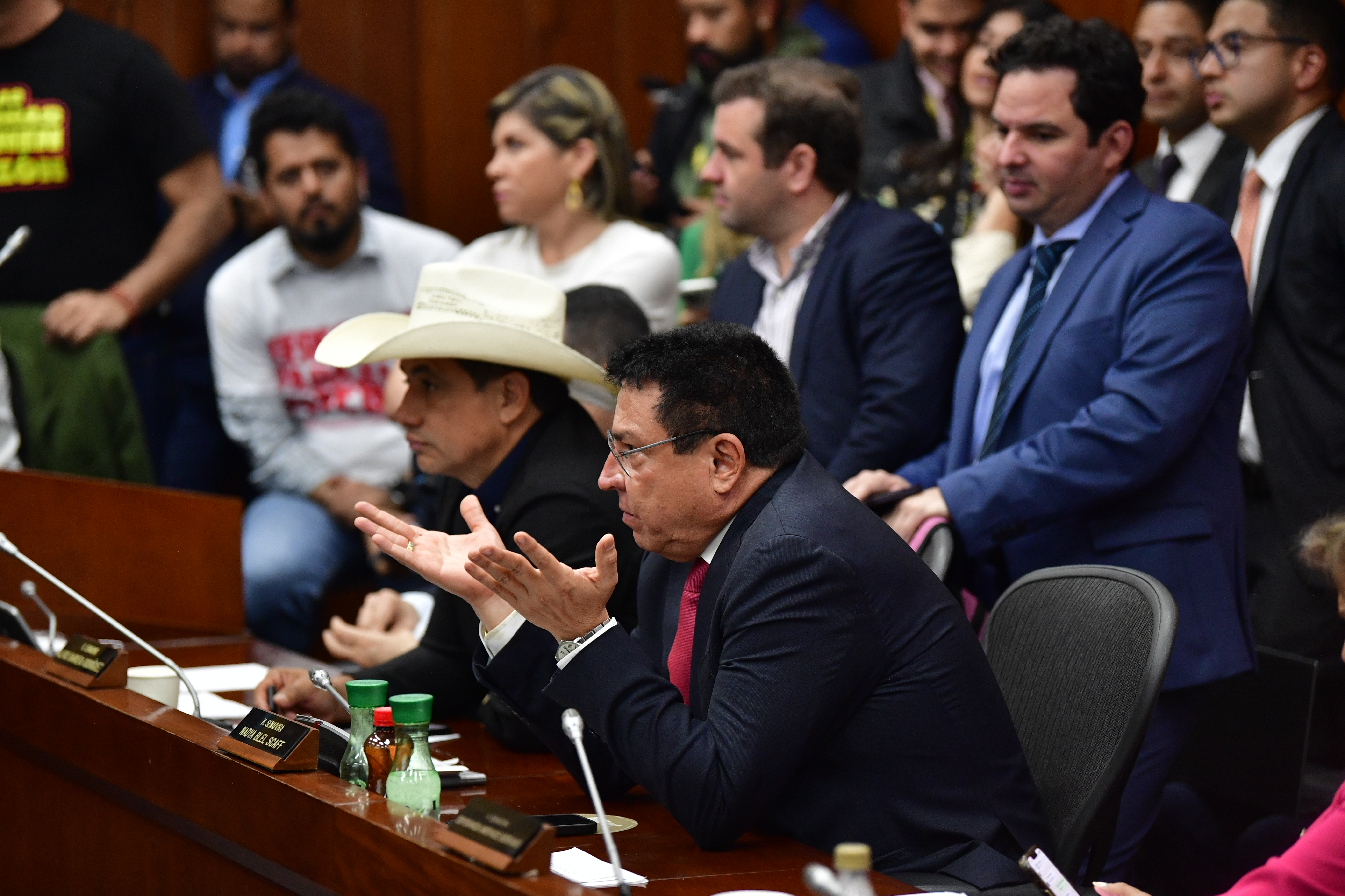 Senador del partido Liberal durante el debate de la reforma laboral del gobierno de Gustavo Petro la cual se hundió en la Comisión Séptima del Senado