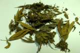 Conozca los tipos de marihuana más comunes en Colombia
