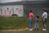 Video: así viven los hijos de exguerrilleros de FARC que nacieron tras Acuerdo de Paz