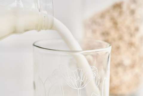 Cómo hacer leche vegetal de coco, marañón y avena en casa: esta es la receta