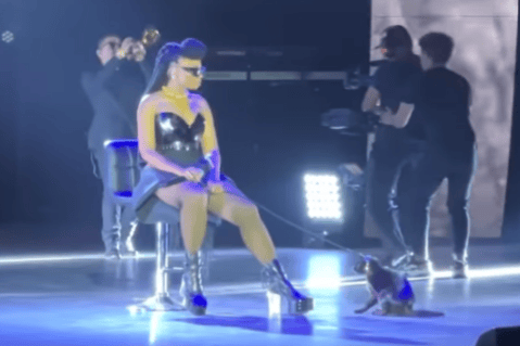 “No reflejó incomodidad”: Goyo reacciona a críticas por utilizar a gato para su show