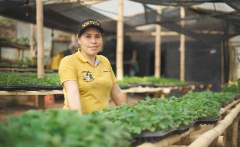 Las apuestas de Nariño para construir una paz integral y lograr el desarrollo