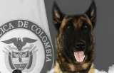 Con flores y honores militares despidieron a Sansón, el héroe peludo del Ejército