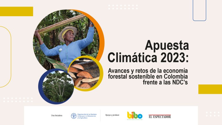 Apuesta climática 2023: avances y retos de la economía forestal sostenible