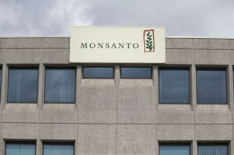 Por fusión con Monsanto, Bayer vendería negocios de semillas