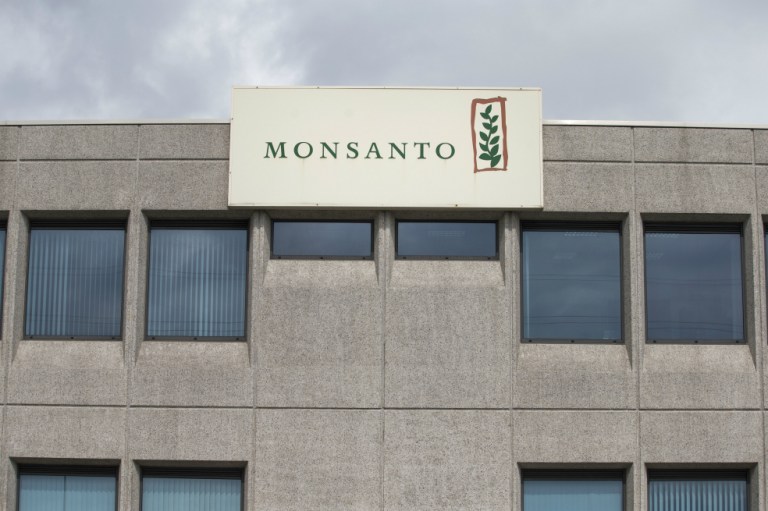 Por fusión con Monsanto, Bayer vendería negocios de semillas