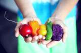 Foro Gastronómico Internacional de Alimentarte: fechas y programación del evento