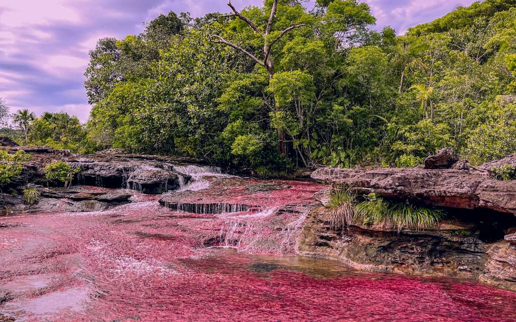 Durante cuatro días y tres noches, los viajeros pueden explorar la Serranía de La Lindosa con sus formaciones rocosas y pinturas rupestres milenarias, navegar por caños de aguas cristalinas, observar delfines rosados y adentrarse en la selva amazónica.