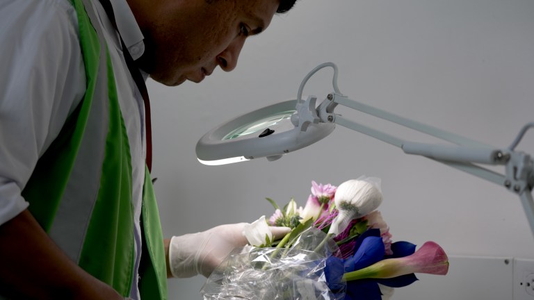 Control de flores colombianas en Estados unidos