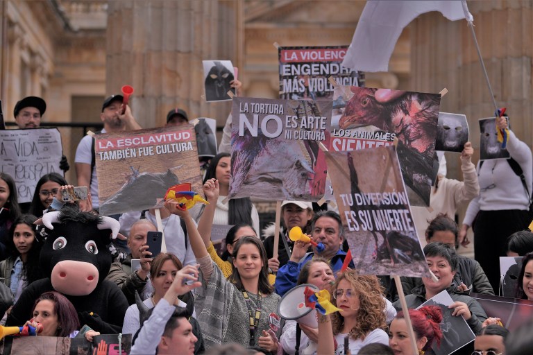 Rechazo de animalistas por participación de niño torero en feria taurina en Cali