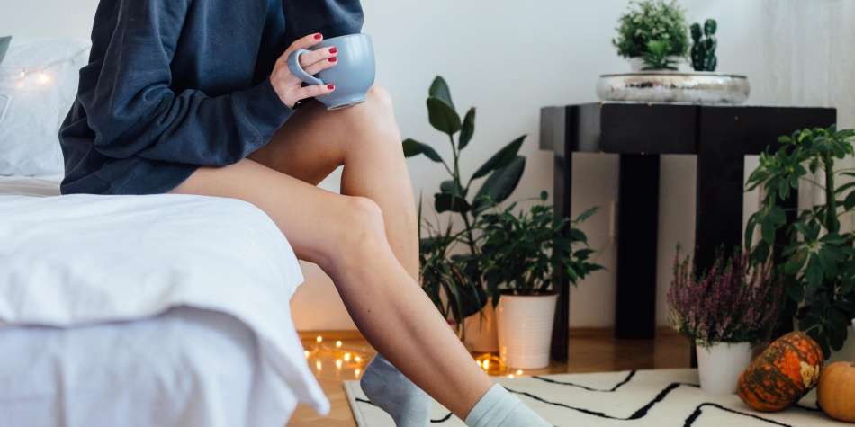 ¿Es bueno tener plantas en la habitación?