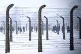 El "contable de Auschwitz", de 93 años, va a juicio en Alemania