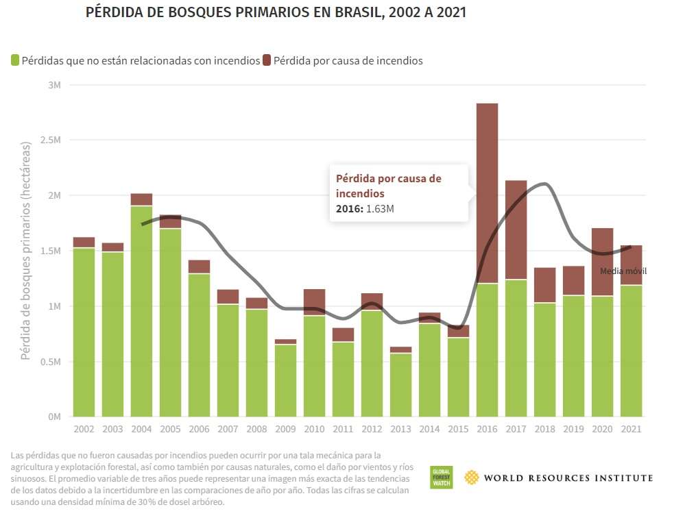 Pérdida de bosque primario en Brasil.