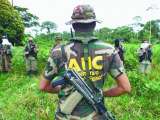 Alias “Memín”, exjefe de las AUC en Antioquia, acepta su responsabilidad en 164 crímenes