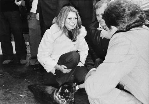 Brigitte Bardot y el sueño imposible