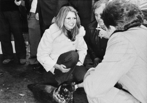 Brigitte Bardot y el sueño imposible