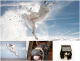 En imágenes: los ganadores de las fotos más graciosas de animales del 2024