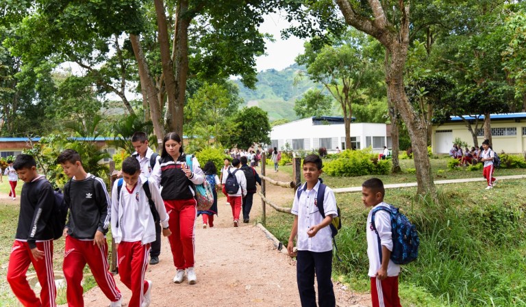 La escuela colombiana que se ganó el premio a la mejor acción ambiental del mundo