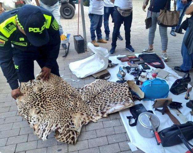 Piel de jaguar que iba a ser comercializada fue incautada en centro de Medellín