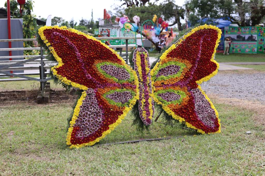 AME035. VOLCÁN (PANAMÁ), 15/09/2024.- Fotografía que muestra una mariposa hecha de flores en la octava edición de la "Parada de las Flores" el 14 de septiembre de 2024 en el pequeño pueblo de Volcán (Panamá). Al rededor de un millón y medio de flores han dado forma este domingo a más de un centenar de figuras de animales en Panamá durante la octava edición de la "Parada de las Flores", un colorido evento anual que muestra el arte de la "mosaicultura". EFE/ Marcelino Rosario
