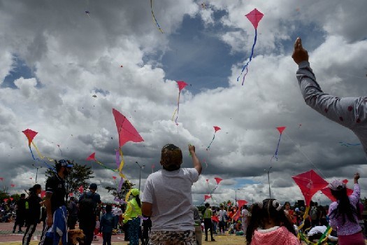 Festival de Verano 2024: más de 60 eventos gratuitos para celebrar la diversidad