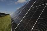 ANLA otorga licencia ambiental al Parque Solar Fotovoltaico El Copey