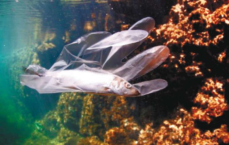 La mayor proporción de plástico se encuentra en las aguas superficiales (95 %).