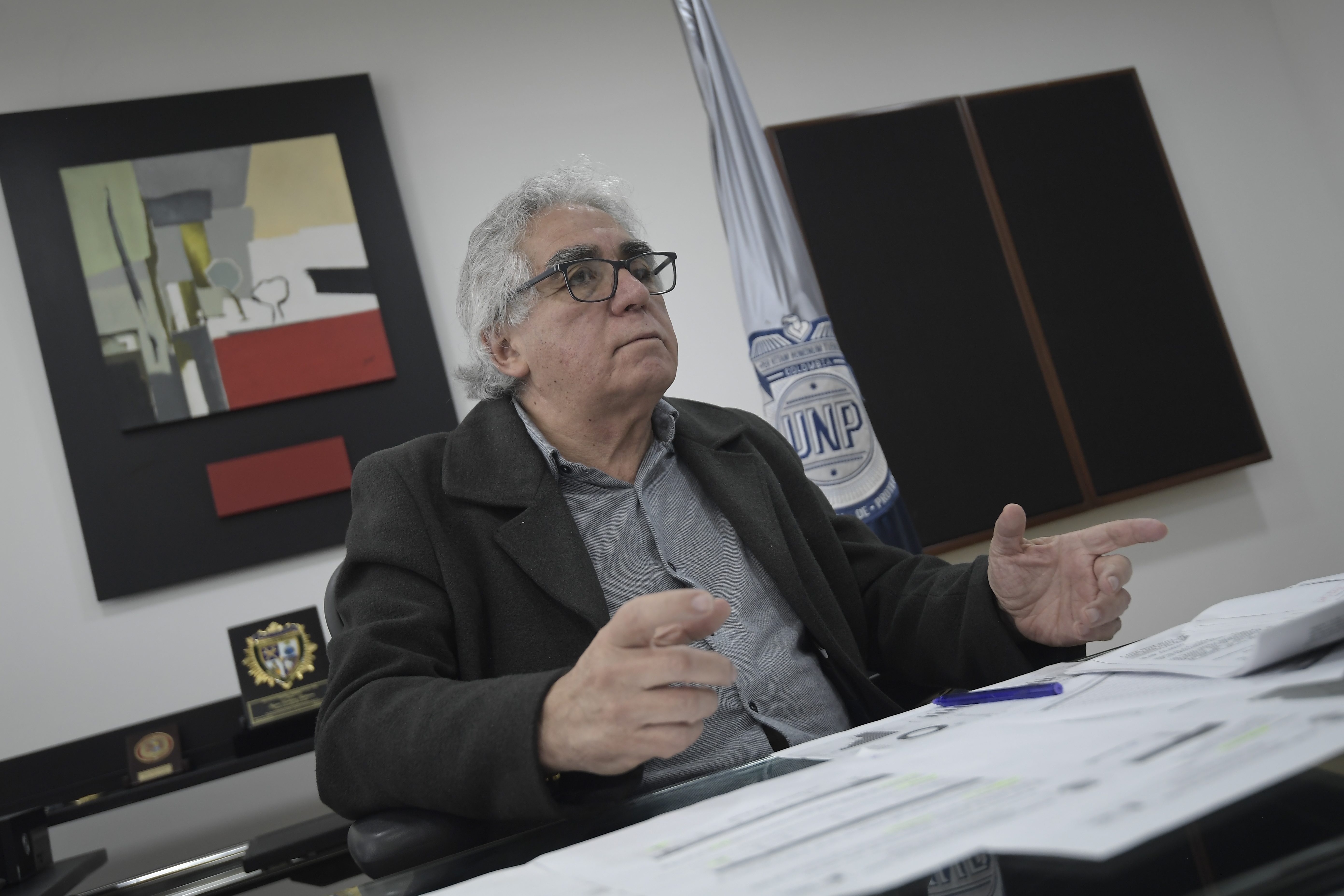 Director de la Unidad Nacional de Protección (UNP).