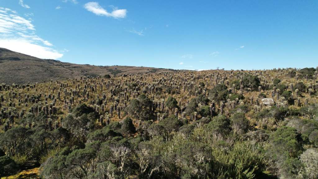 La existencia de reservas campesinas en reservas forestales busca cerrar la frontera agrícola.