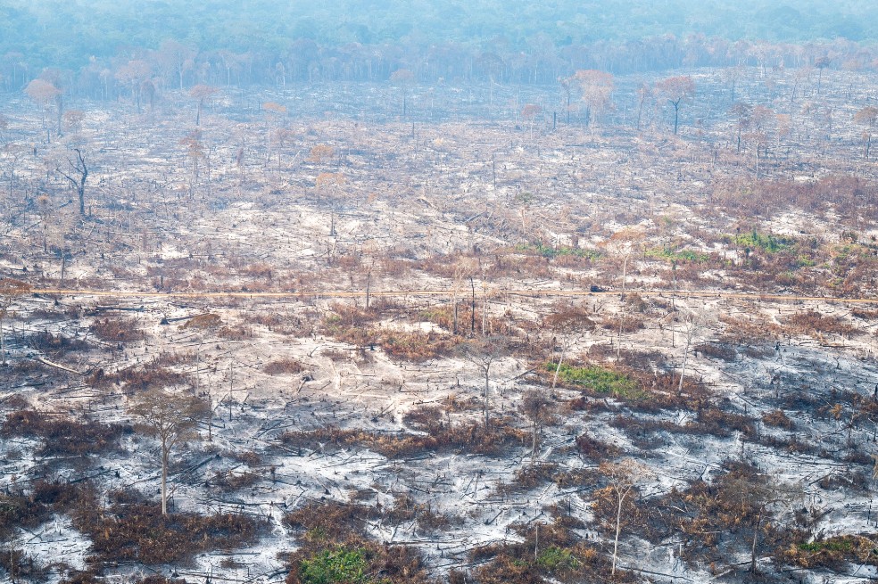 Incendios forestales en la Amazonía