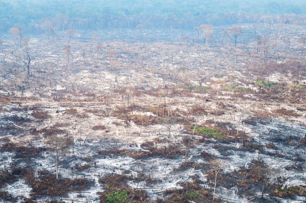 Incendios forestales en la Amazonía