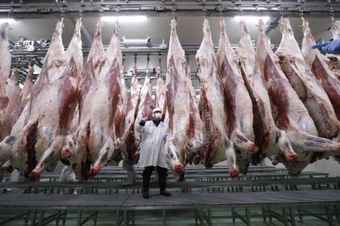 Primer envío de carne bovina colombiana a Arabia Saudita