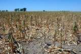 Colombia, cerca de temperaturas que no pueden soportar los seres humanos