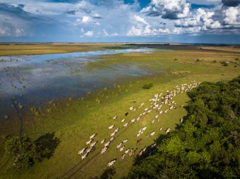 La Orinoquia: la historia no contada de una región clave para Colombia